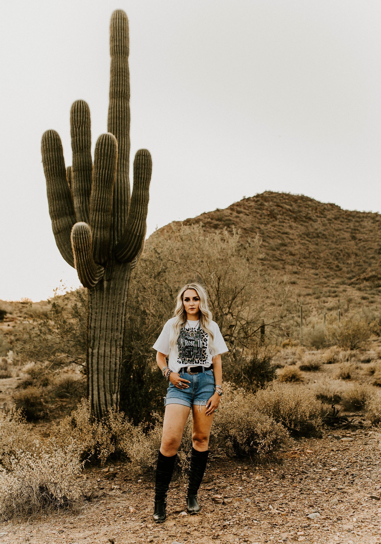 Rowdy denim shorts